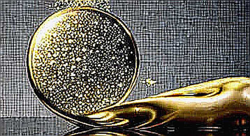 We Didn't Need a Senator to Tell Us TRUMP Token Was a Rug Pull. Here's What the SEC Will Miss.