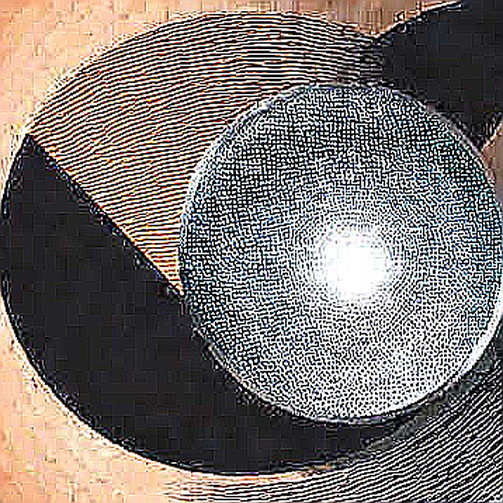 The Zero Data Mirage: Why Grok Build's Privacy Promise Needs an On-Chain Witness