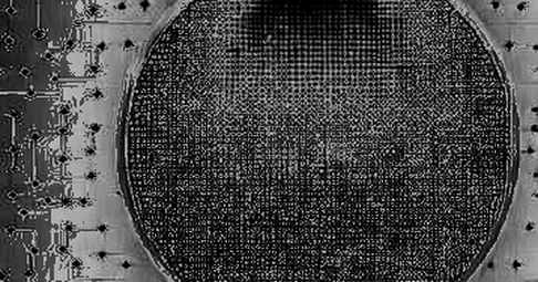 Internal Transfers and the Myth of Fair Market Value: A Forensic Look at Multi-Protocol Asset Shuffling Internal Transfers and the Myth of Fair Market Value: A Forensic Look at Multi-Protocol Asset Shuffling