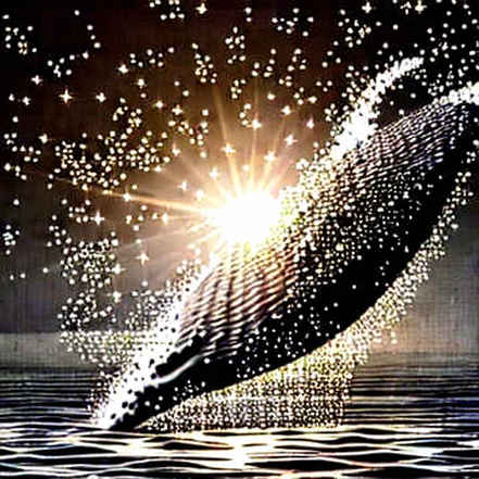 The Quantum Narrative Mirage: D-Wave's 44% Revenue Drop Meets a Rising Market Cap