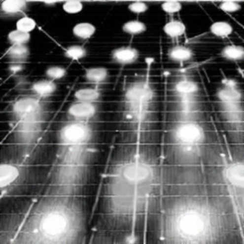 When the Music Fades: Bitcoin’s Slow Bleed and the Quiet Exodus