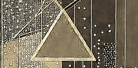 Whatnot's $20B Data Vacuum: Live Commerce Is the Last Non-AI Trade Whatnot's $20B Data Vacuum: Live Commerce Is the Last Non-AI Trade