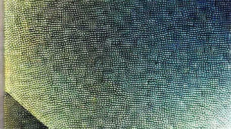 The Void Audit: When Data Absence Becomes the Loudest Signal