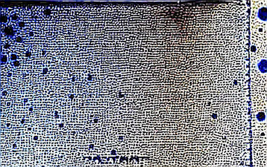 Why Bitcoin Didn't Flinch at Iran's Strait of Hormuz Threat — A Battle Trader's Post-Mortem Why Bitcoin Didn't Flinch at Iran's Strait of Hormuz Threat — A Battle Trader's Post-Mortem