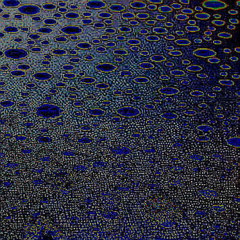 When the Oracle Clashes with the Candidate: Polymarket, Voter Data, and the Noise of Power When the Oracle Clashes with the Candidate: Polymarket, Voter Data, and the Noise of Power