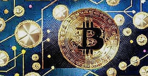 The Belgium World Cup That Never Happened: A Data Detective’s Autopsy of Fan Token Hype