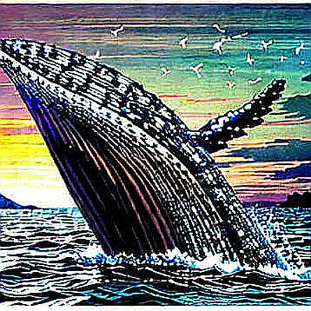 ADA’s Rally Cracks: Whale Exodus and Death Cross Signal Deeper Correction – But the Real Story Is in the Latency