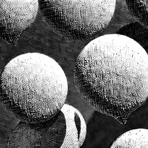 The 29% Signal: Why Prediction Markets Are the Only Honest Broker in a Geopolitical Fog