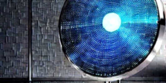 The Silence of the Bear: Why NVIDIA and Coinbase Are Whispering the Same Open-Weight Saga